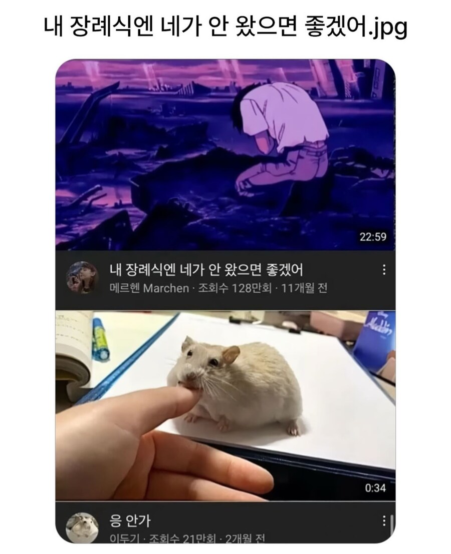 뭔가 이상한 유튜브 알고리즘_1.jpg