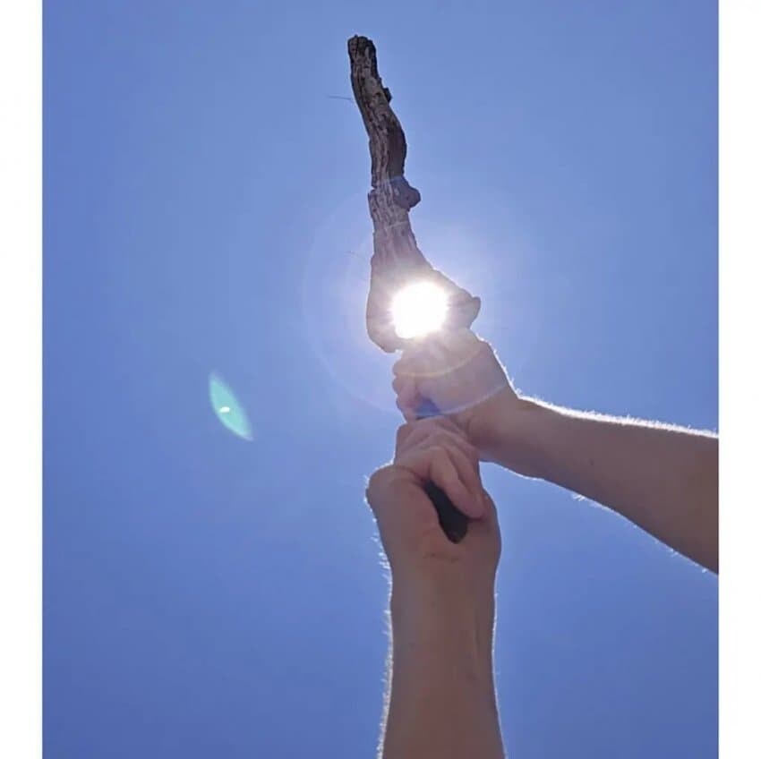 남자들을 미치게하는 나뭇가지_1.jpg