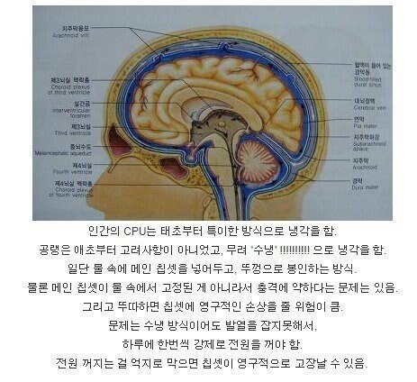 인간 cpu 쿨링 좋은거 아님?_1.jpg