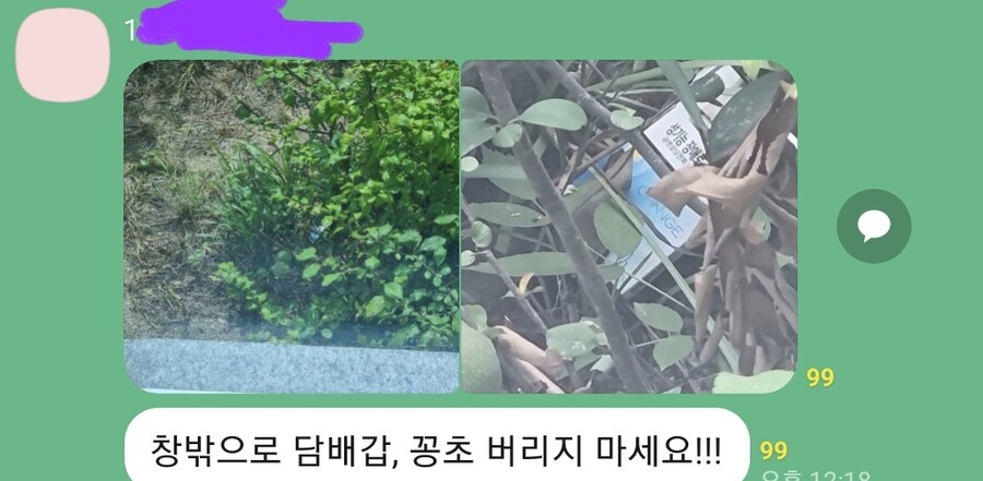 흡연충들 평균_1.jpg