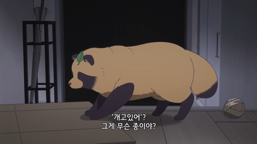 비와너와]비오는 날 유기견을 주워왔다_9.jpg