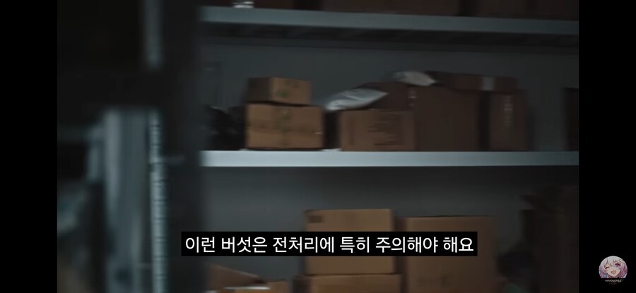 스타레일 페이트 콜라보 영상 킬포._12.jpg