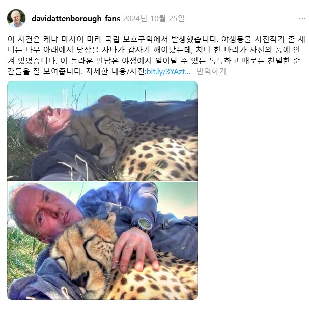 평생 잊지못할 낮잠을 잔 남자_1.png