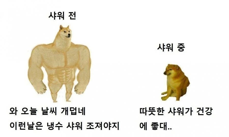 여름철 샤워 특징_1.png
