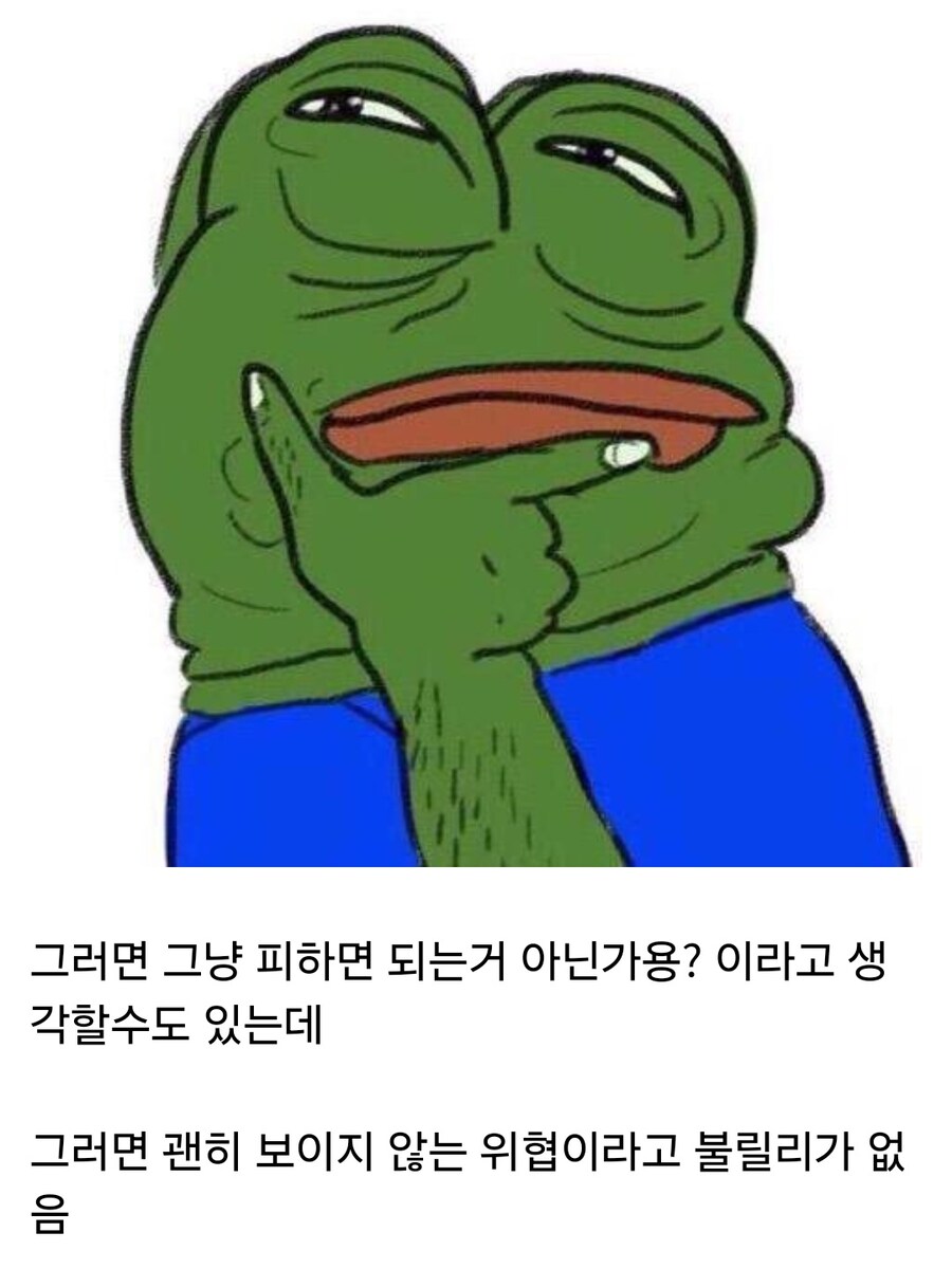 바다의 보이지 않는 위협이라 불리는 해파리_3.jpg