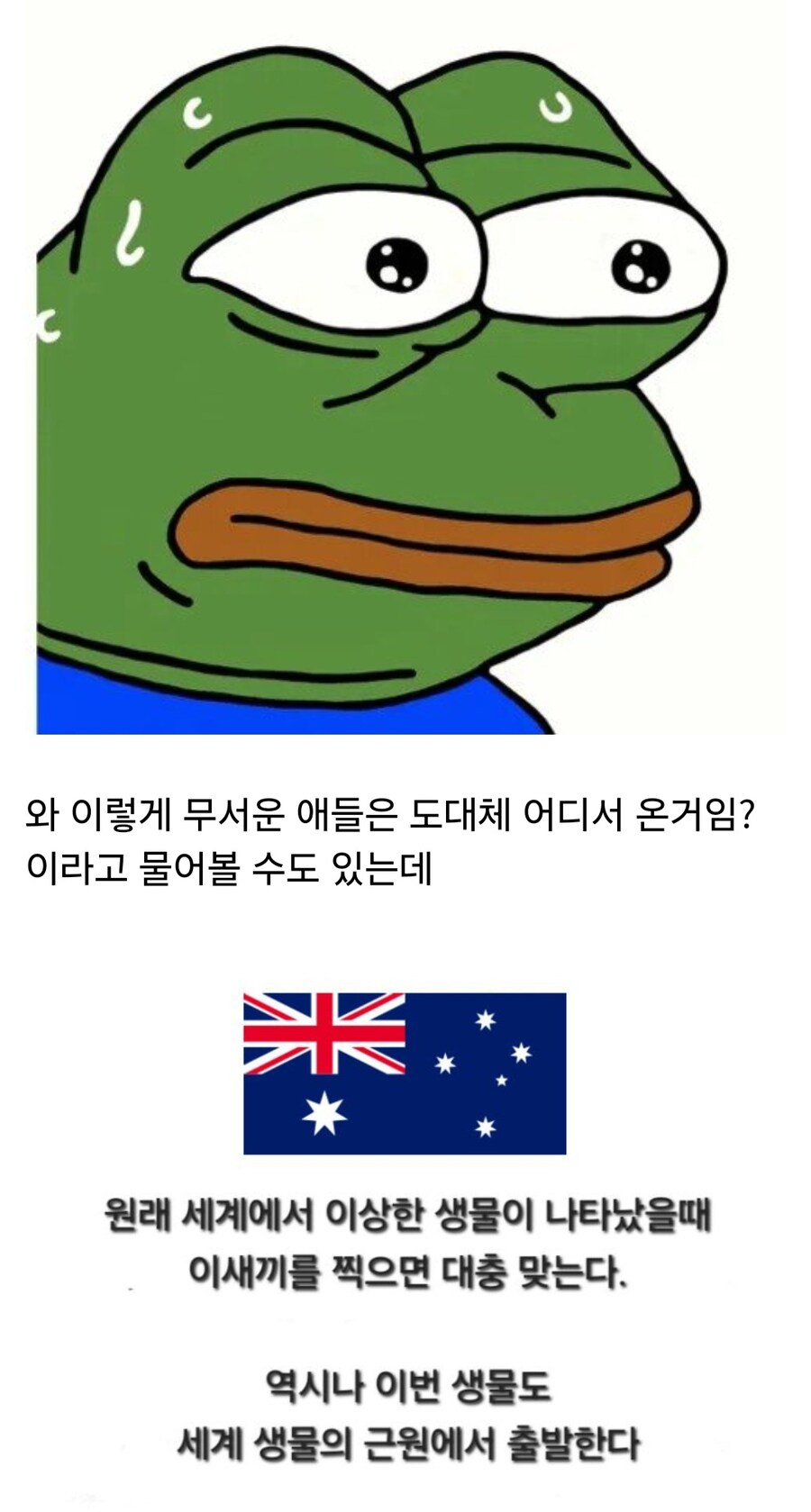 바다의 보이지 않는 위협이라 불리는 해파리_7.jpg