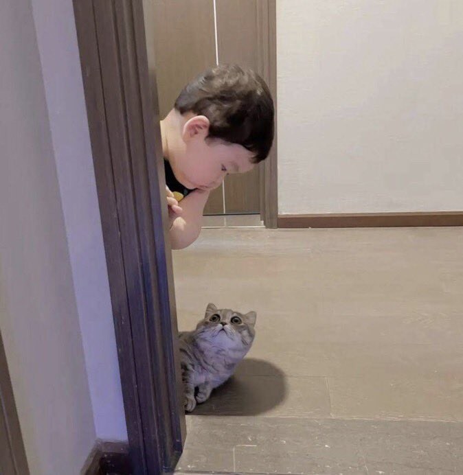 어느 가정집의 아기 둘._2.jpg