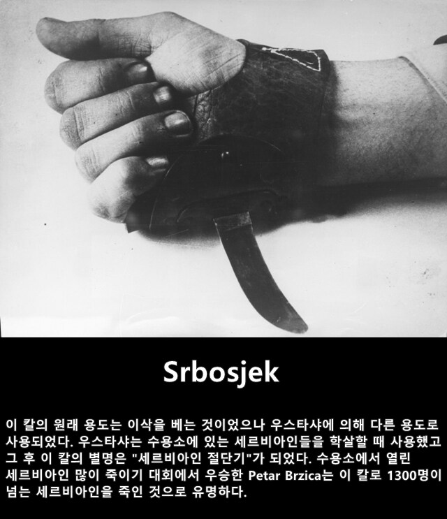 혼란스러운 크로아티아 근황_5.png