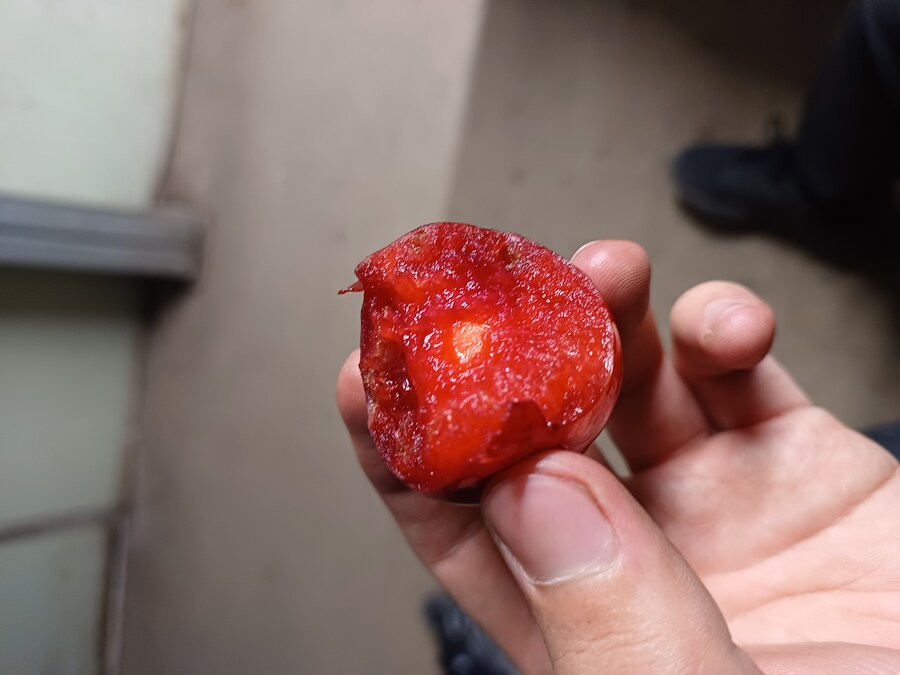 피자두 맛있당_2.jpg