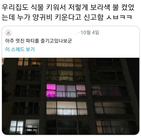 누가 우리집 양귀비 키운다고 신고들어왔다_1.jpg