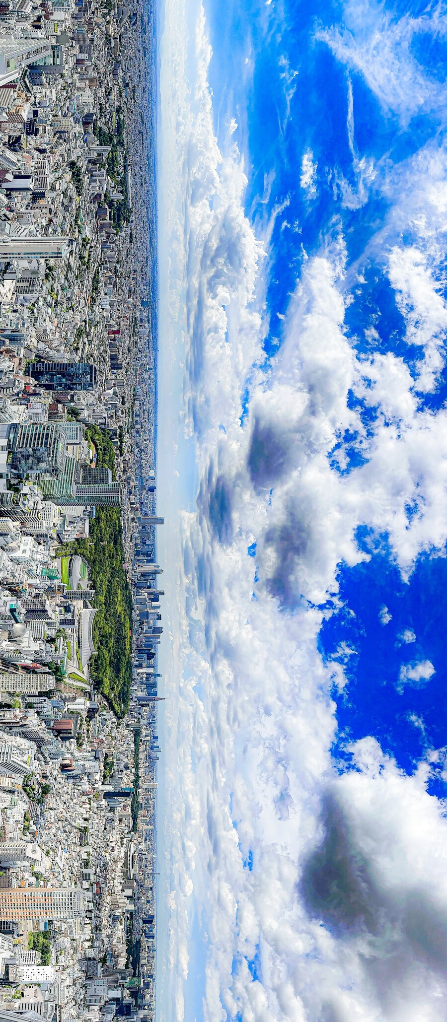 도쿄의 여름 하늘_1.jpg