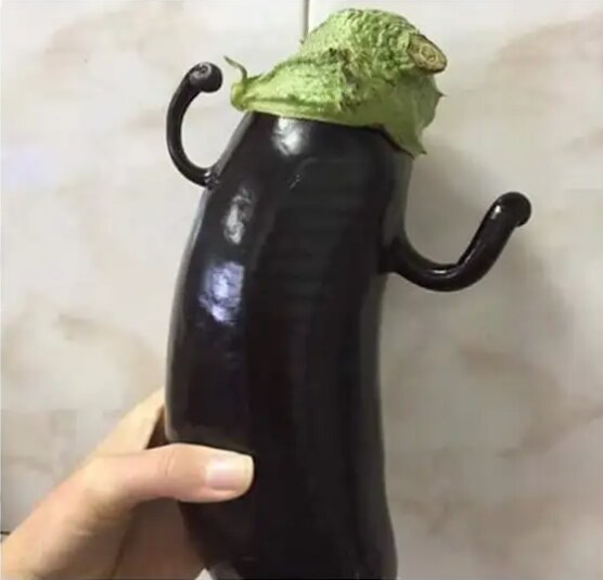 밭에서 발견된 가지맨_1.png