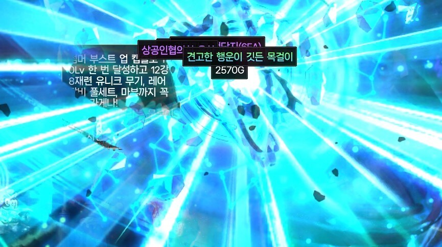 처음으로 태초를 먹긴 했는데_1.jpg