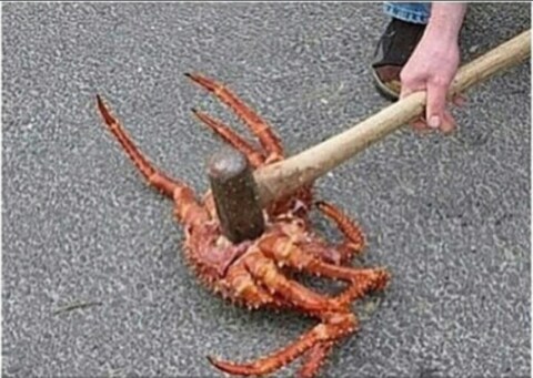 ㅇㅇㄱ)한테 헛소리하면 망치로 내려 찍어야하는 게_1.png