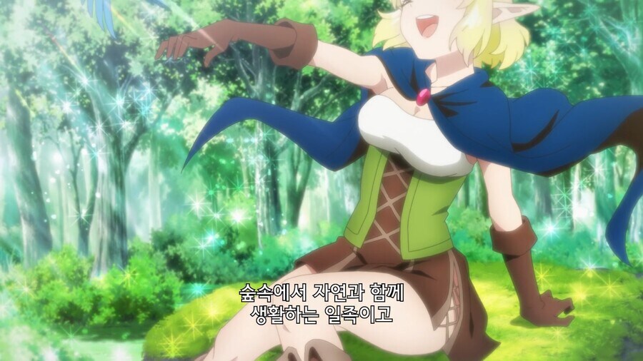 엘프에 관한 고정관념을 가진 주인공.jpg_3.jpg