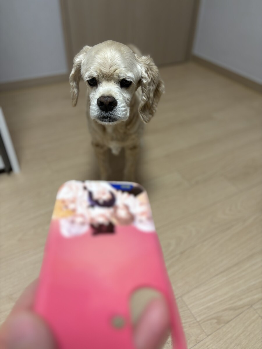 ㅇㅇㄱ)???: 상대가 사과했는데 일단기다려보죠?_4.jpg