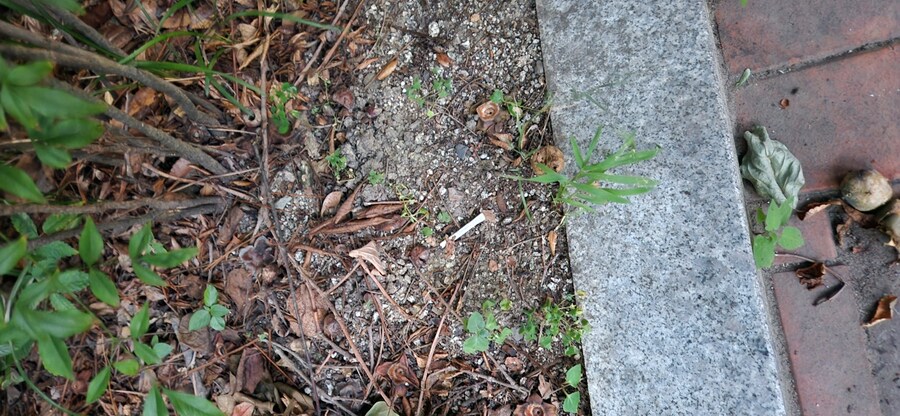 유산소 운동하는날 생긴 일과_2.jpg