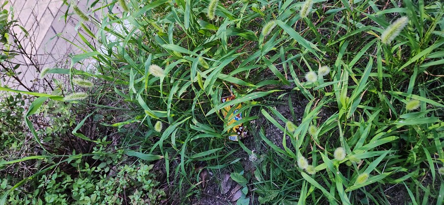 유산소 운동하는날 생긴 일과_5.jpg