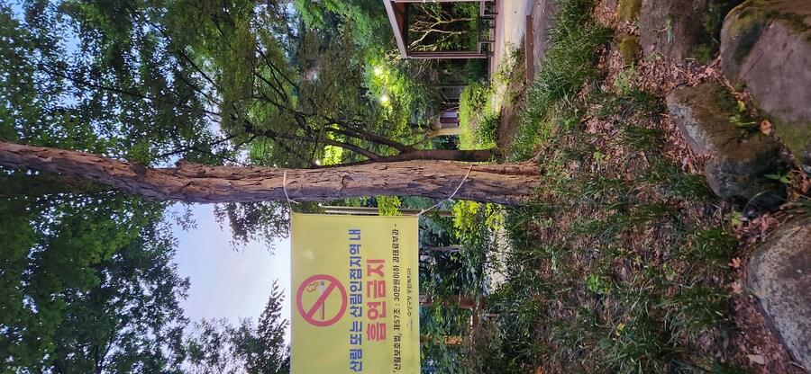 유산소 운동하는날 생긴 일과_9.jpg