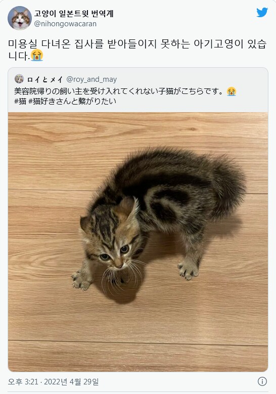 ???: "오마에와 나니모노다!".jpg_1.png