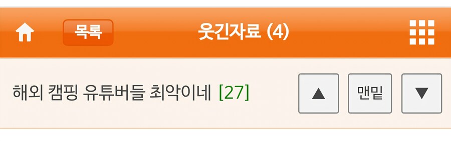 해외 캠핑 유튜버를 욕하는 웃대인_1.jpg