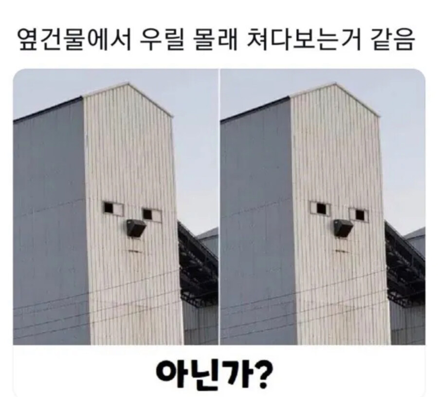 옆건물이 자꾸 쳐다봄_1.jpg