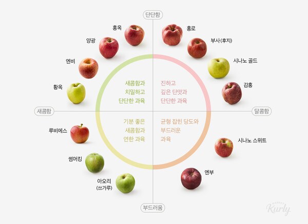 사과) 여러분께 사과 드립니다._1.png