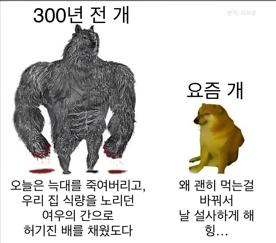 300년전 개 vs 요즘 개.jpg_1.jpg