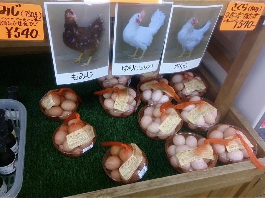 누가 낳음?_1.jpg