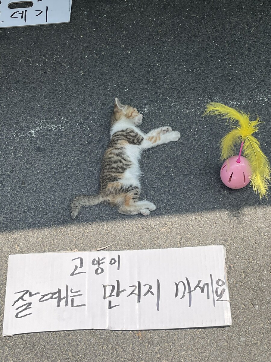 죽은거 아님_1.jpg