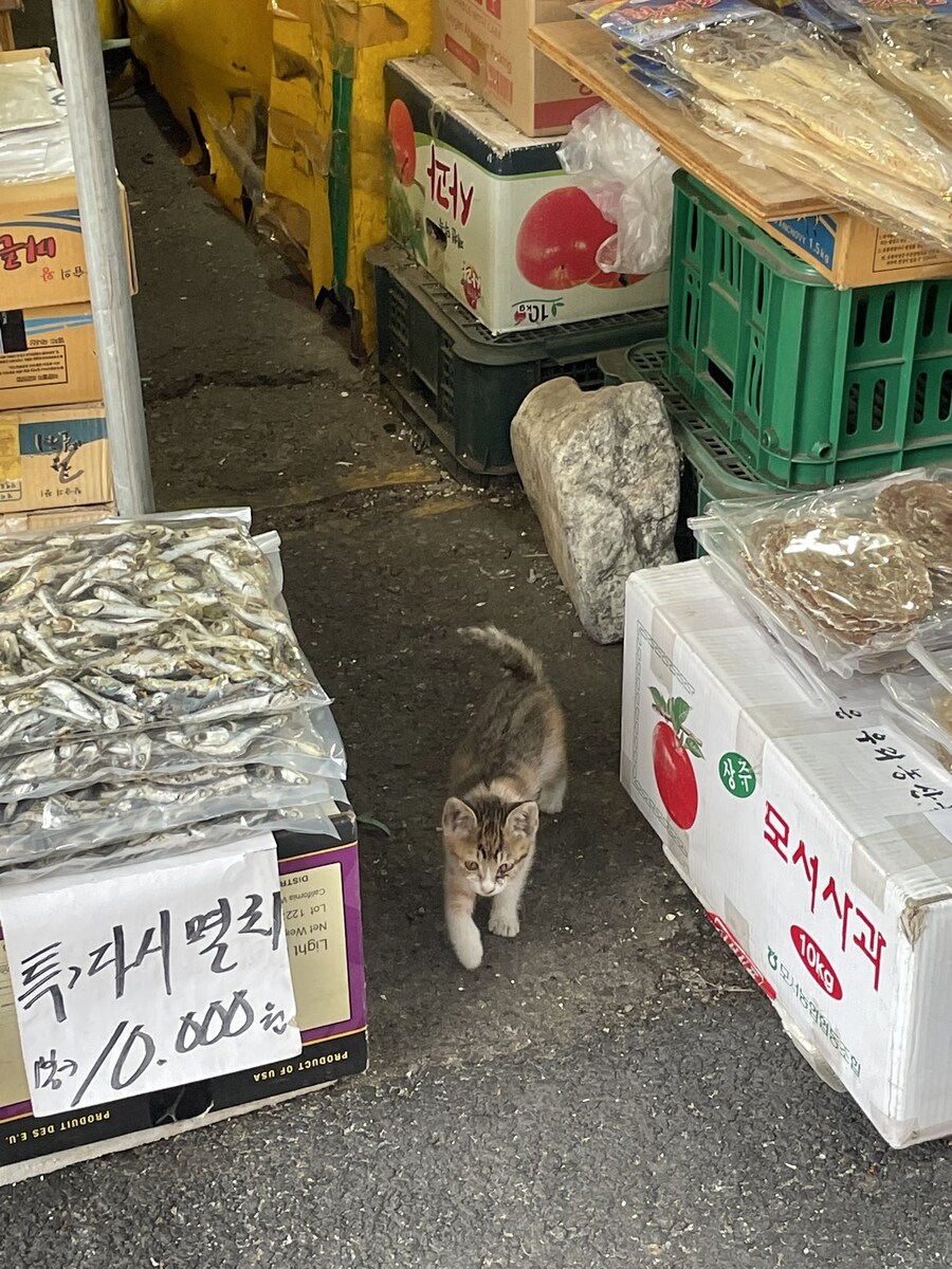 죽은거 아님_3.jpg