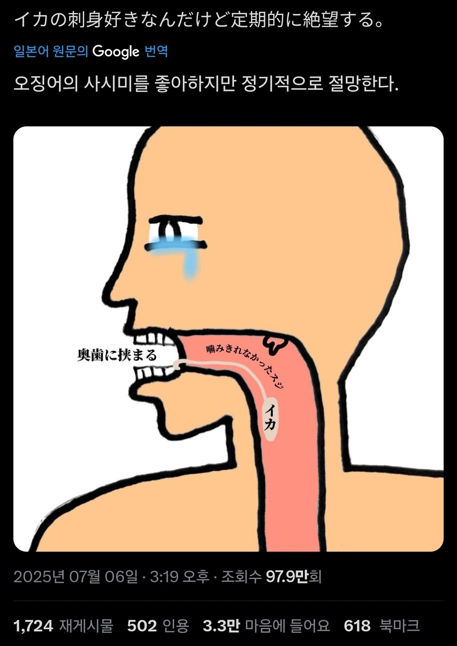 오징어 공감_1.jpg