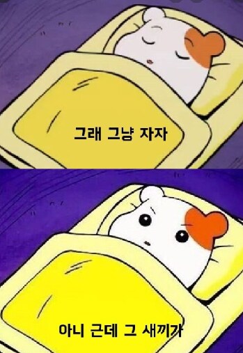 글쓴놈 차단하는거 원래 이렇게 귀찮음?_1.png