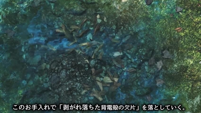몬헌) 이번 라기아크루스 디테일_1.jpg