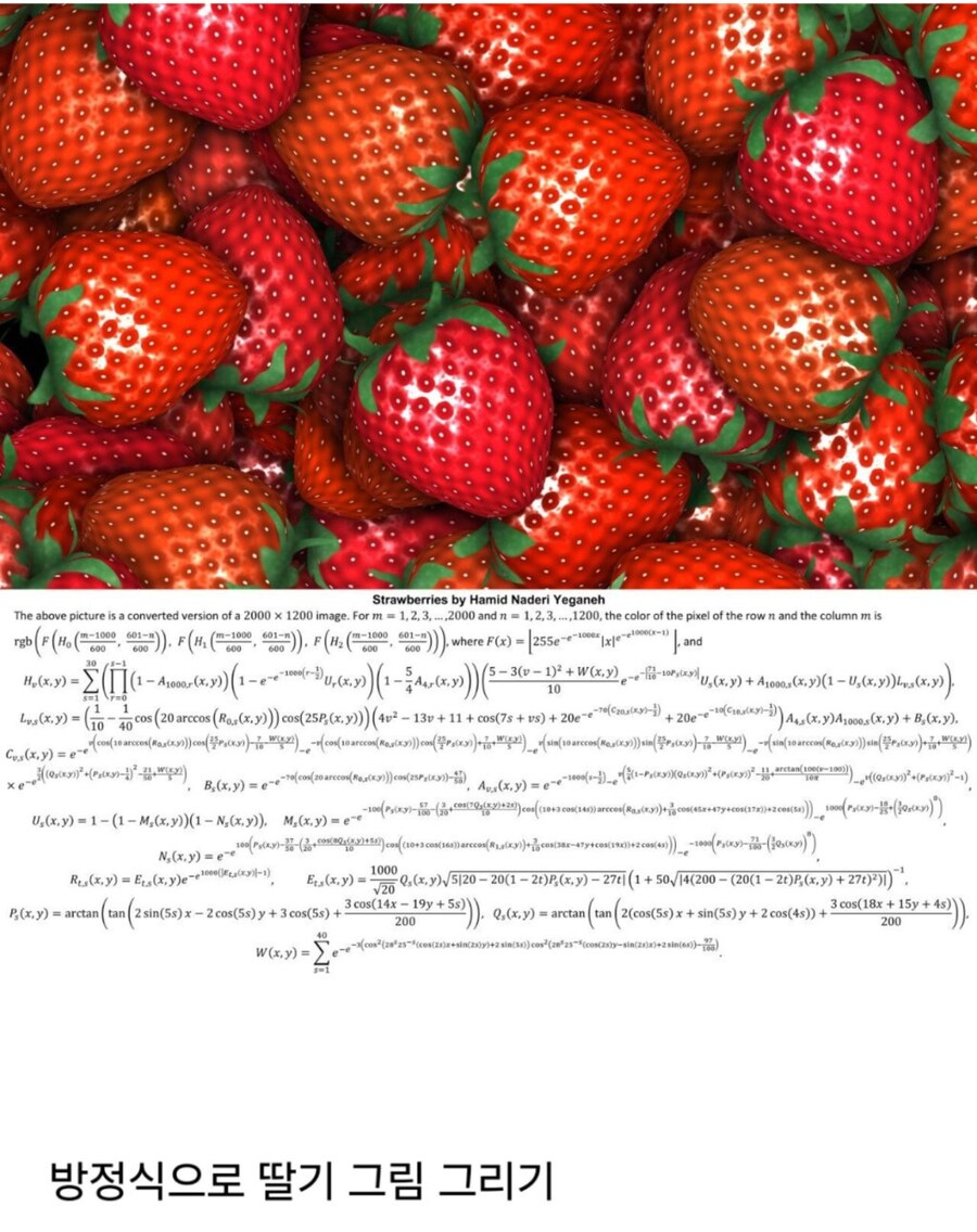 수학과 졸업작품._1.png