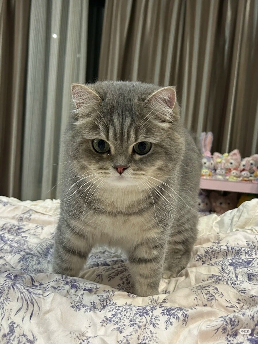 니들 이거는 봤냐 ㅋㅋ_1.jpg