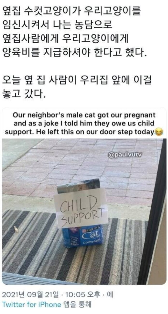 옆집 사람이 지급한 양육비.jpg_1.png