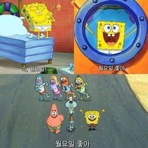 오늘만 쓸 수 있는 짤!!_1.jpg