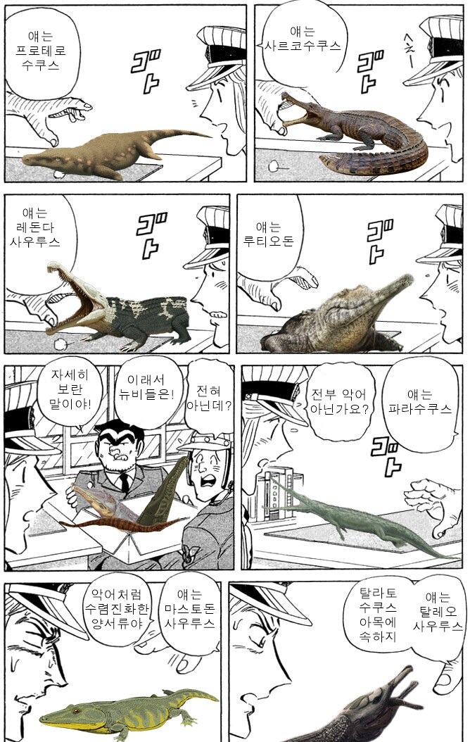 전부 악어 아닌가요??_1.png