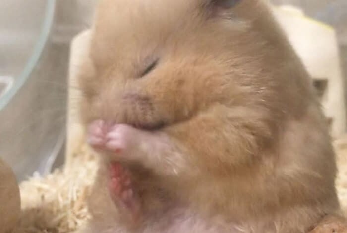 메카브레이크) 우리겜 흥하게 해주세요.._1.png