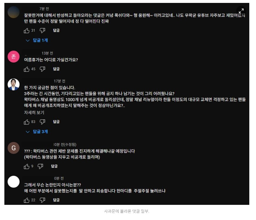 우왁굳 "실망드려 죄송, 당분간 유튜버 활동 중단" 사과문_2.png