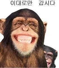 ㅇㅇㄱ) 이 원하던게 평생 콘텐츠였는데_1.jpg