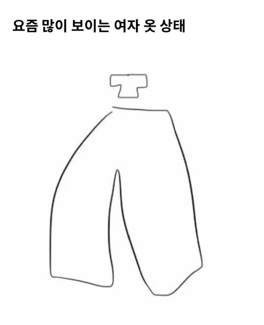 요즘 많이 보이는 여자 옷 상태.jpg_1.jpg