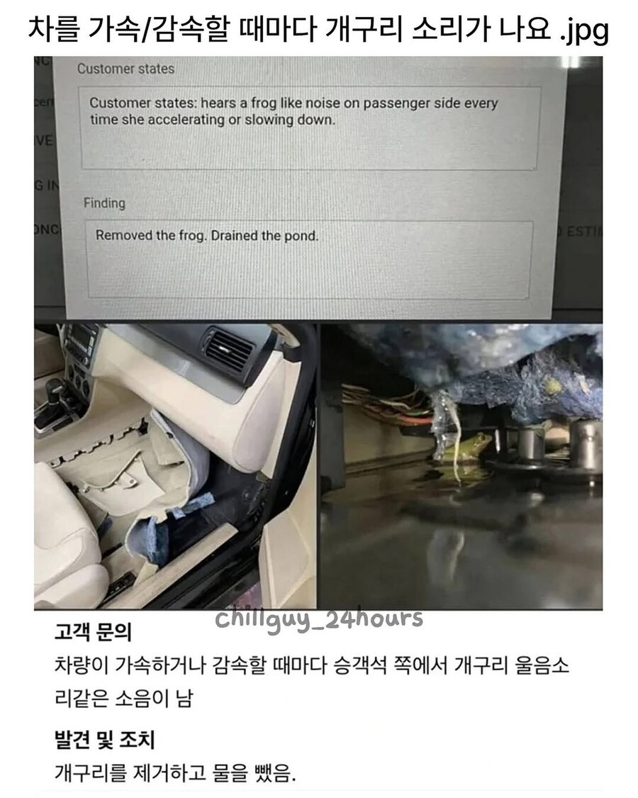 차를 가속할 때마다 개구리 소리가 나요.jpg_1.jpg