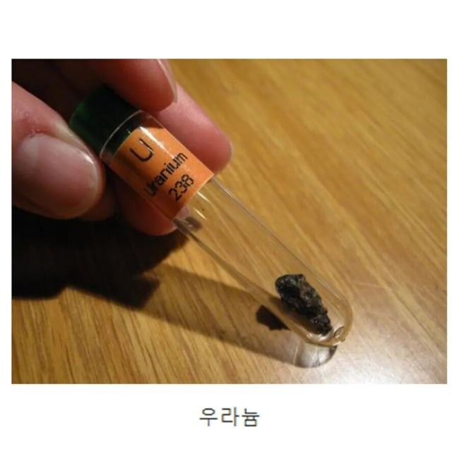 의외로 토마토랑 같이 먹으면 독이 되는것_2.jpg