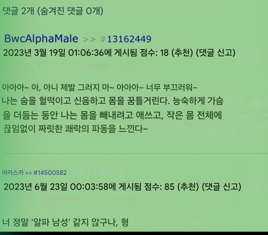 냉정한 츳코미_2.jpg