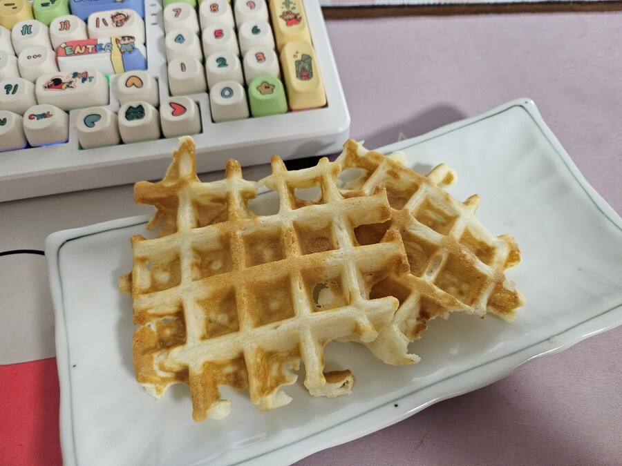 와플 메이커로 와플만드는데 머가문제지??_1.jpg