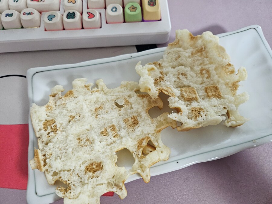 와플 메이커로 와플만드는데 머가문제지??_2.jpg