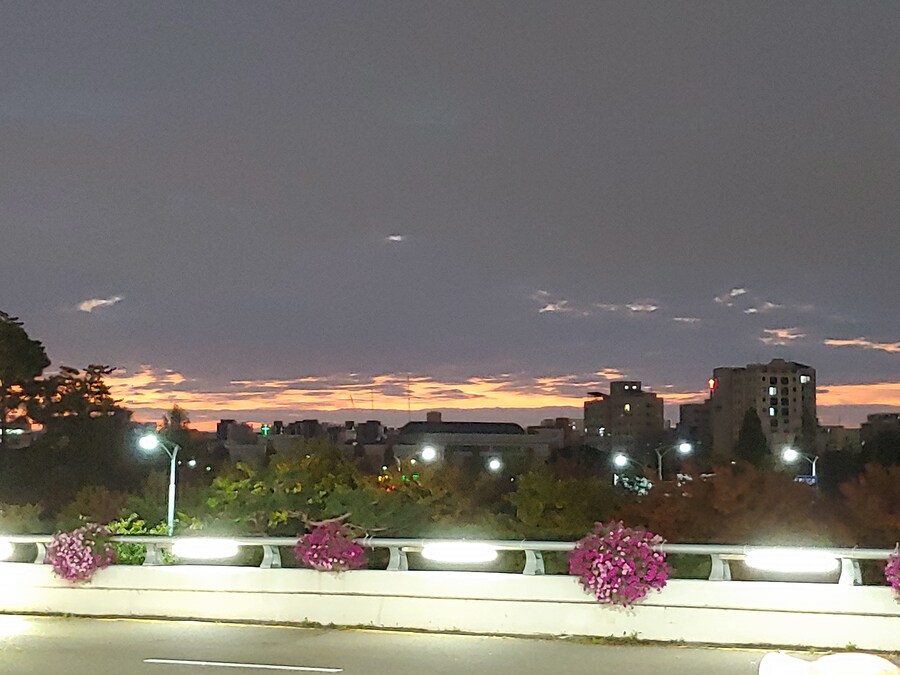 일본워홀 1일차 일본여행 처음인데 워킹 홀리데이로 갔다 온 이야기_1.jpg