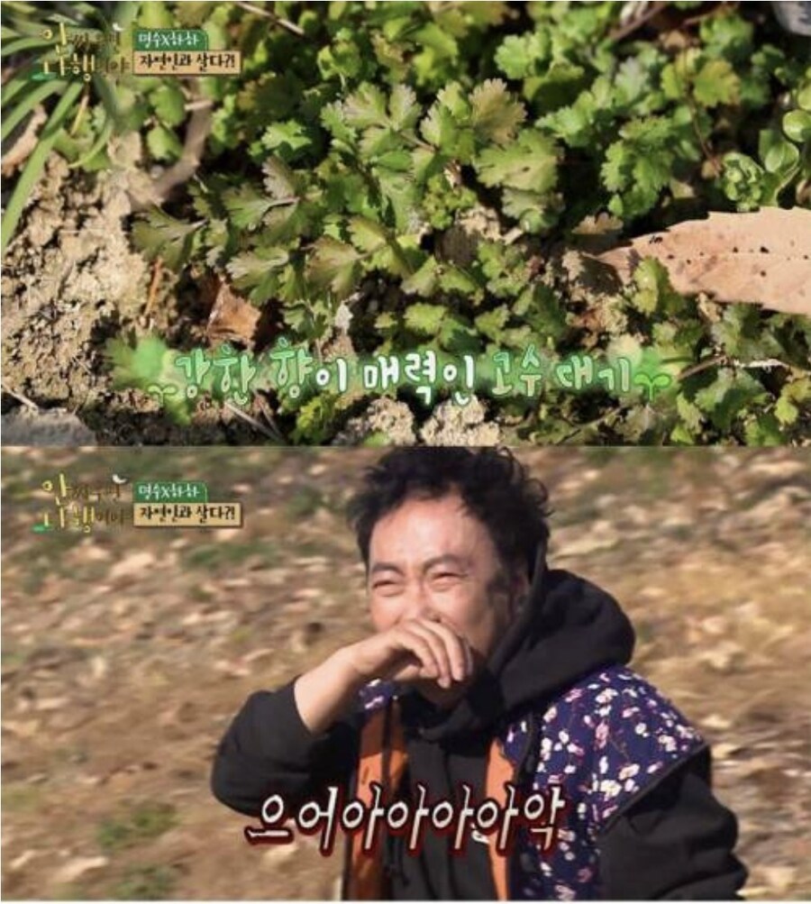 뭐든 잘 먹는 아이유도 도저히 못 먹겠다는 그것_2.jpg